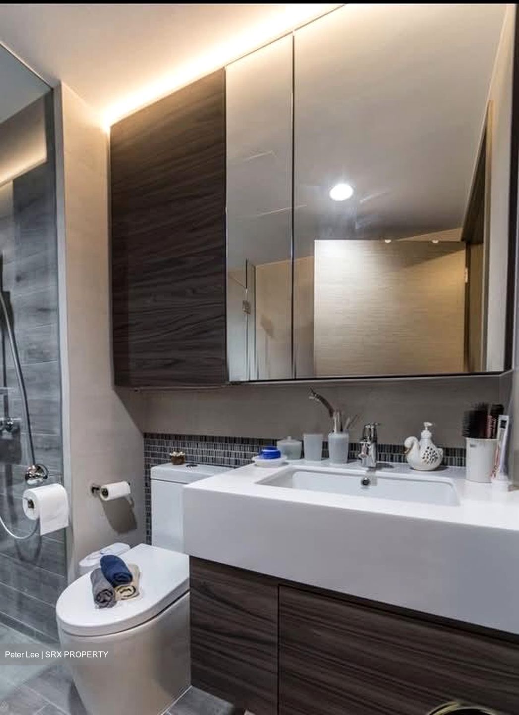 The Terrace (D19), Condominium #594533001